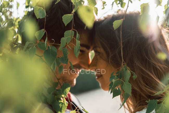 Side view of bride and groom in love looking at each other happily while standing in lush green foliage in sunlight — Stock Photo