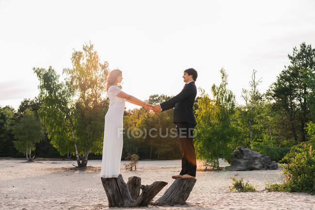 Vista lateral del hombre y la mujer en vestido de novia de pie sobre los tallos de árboles por encima de la playa de arena con árboles verdes y de la mano - foto de stock
