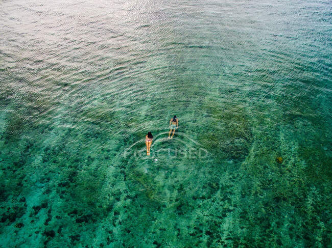 Vue aérienne arrière des femelles détendues nageant sous une eau de mer claire et brillante par une journée d'été ensoleillée en Indonésie — Photo de stock