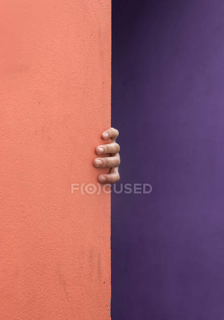 Cortar la mano de la persona que se esconde tocar esquina de la pared colorida - foto de stock