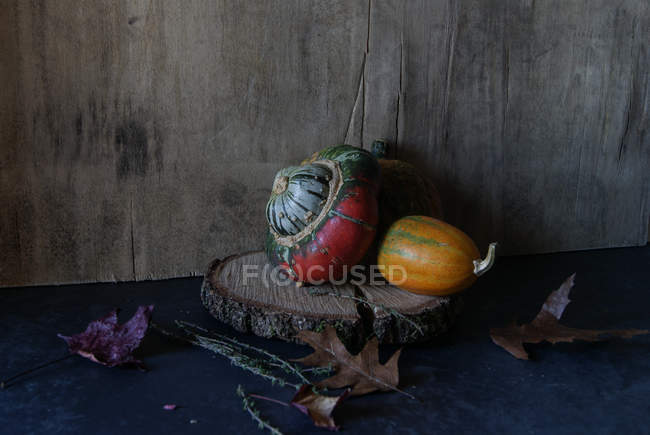 Барвиста гарбузова композиція на дерев'яному шматочку на темному фоні — стокове фото