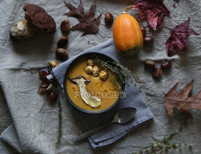 Sopa de creme de abóbora servida em tigela com ingredientes em tecido rústico com folhas de outono — Fotografia de Stock