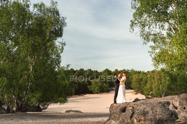 Vista à distância do casal em vestidos de casamento em pé na rocha e abraçando alegremente contra árvores verdes e céu azul — Fotografia de Stock