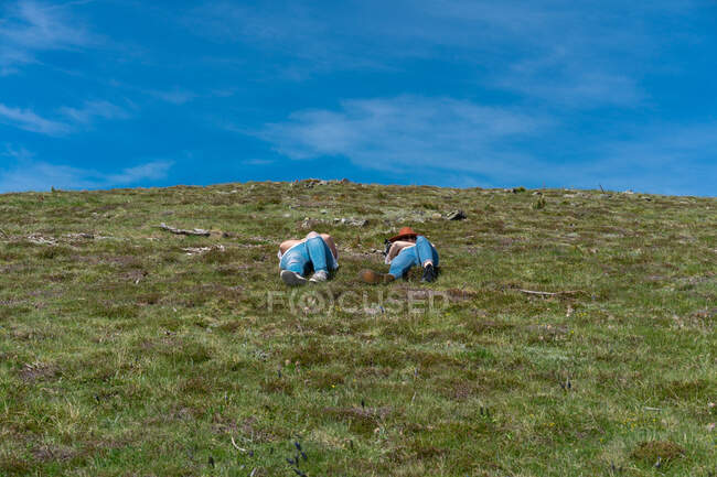 Вид на жінок у денімі, що лежить на зеленій траві лугу та сонячних ванн у літньому сонці під блакитним небом — стокове фото