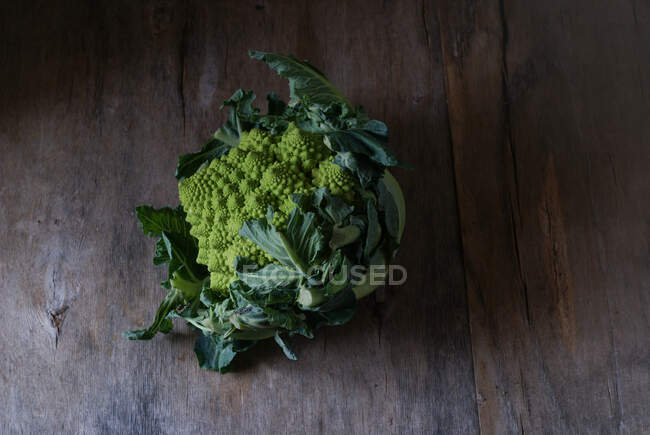 Hands holding fresh Romanesco broccoli — Stock Photo
