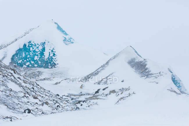 Горы, покрытые снегом зимой, Шпицберген, Норвегия — стоковое фото