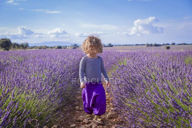 Adorável menina caminhando no campo de lavanda roxo — Fotografia de Stock