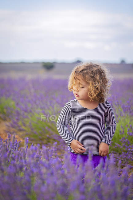 Adorable little girl with curly hair standing in purple lavender field — Stock Photo