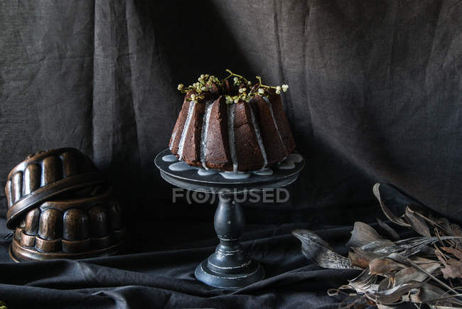 Torta fascio di cioccolato vegan decorato con ramoscelli di piante su supporto torta su tessuto nero — Foto stock