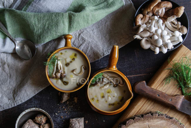 Servito in ciotole gustosa crema di funghi su tavolo rustico in legno con ingredienti — Foto stock