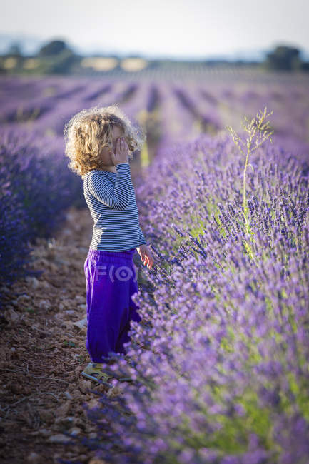 Kleines Mädchen mit lockigem Haar steht im violetten Lavendelfeld — Stockfoto