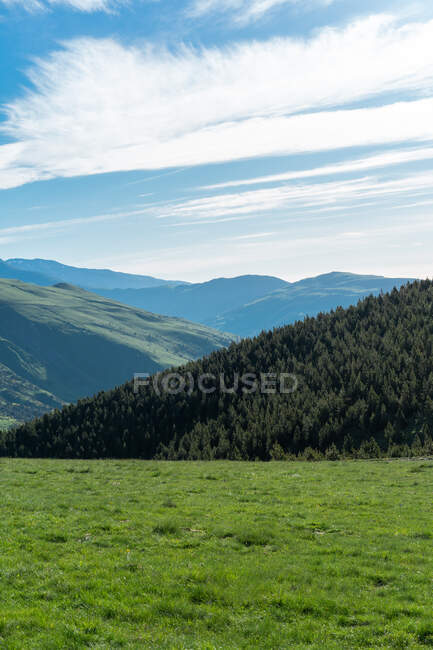 Perspectiva del valle de montañas verdes con árboles de coníferas bajo el cielo azul a la luz del sol de verano - foto de stock