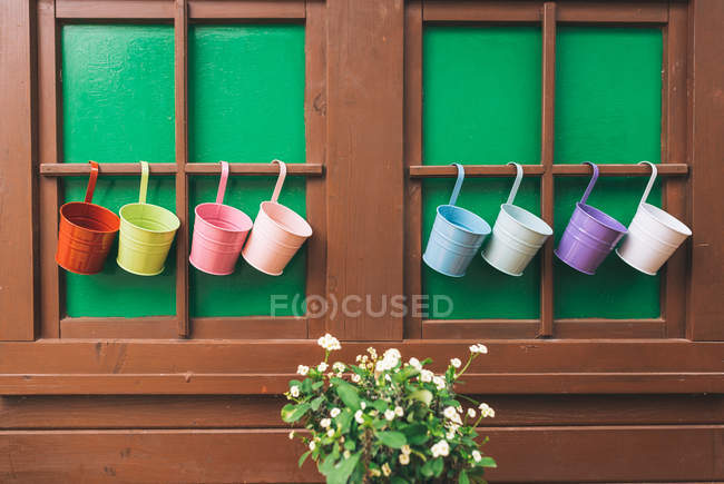 Wooden cabin windows with colorful plant pots and potted plant — Stock Photo
