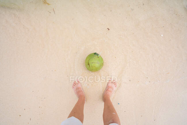 Урожай выстрел сверху босиком человек стоит на белом песке тропического пляжа с зеленым кокосом в воде ниже, фарфор — стоковое фото