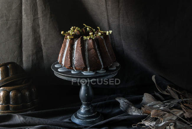 Vegan chocolate bundt cake decorated with twigs of plants on cake stand on black fabric — Stock Photo