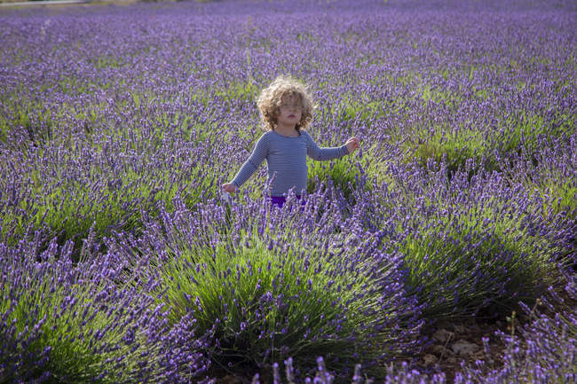 Adorable niña de pie en el campo de lavanda púrpura - foto de stock