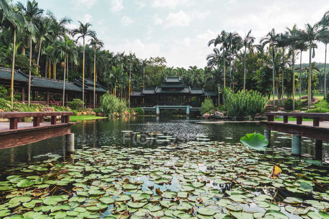 Pond in park with water lily pads and oriental building on background, Nanning, China — Stock Photo