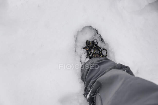 Pie en la nieve. Vista superior - foto de stock