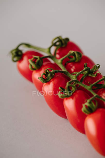 Свіжі червоні помідори на гілці на сірому фоні — стокове фото