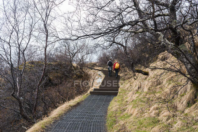 Vue arrière du sentier pédestre de deux personnes dans un paysage vallonné pittoresque à Skaftafell, Islande et Vatnajokull — Photo de stock