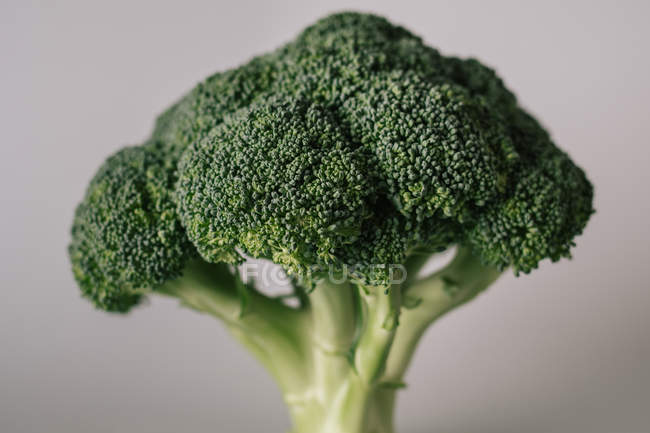 Gros plan du chou brocoli vert frais texturé sur fond gris — Photo de stock