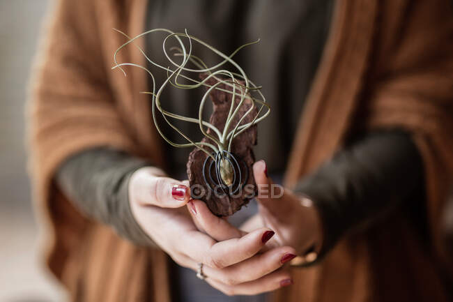 Crop closeup view of woman showing unusual decoration made of tree bark and rambling plant — Stock Photo
