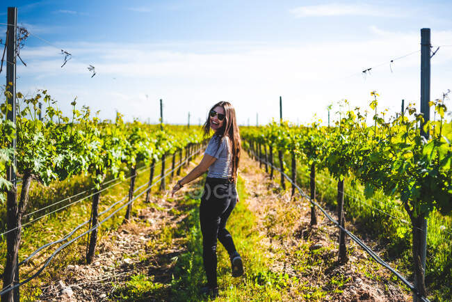 Rückansicht einer gesichtslosen Frau in lässigem Outfit, die an einem schönen sonnigen Tag in einem Weingut spazieren geht. — Stockfoto