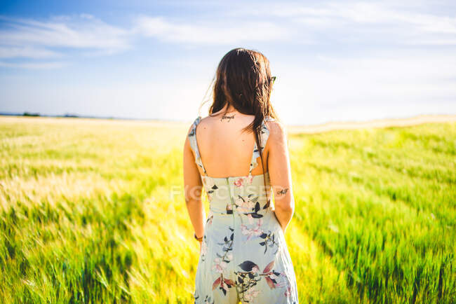 Menina de pé em campo em um dia ensolarado — Fotografia de Stock