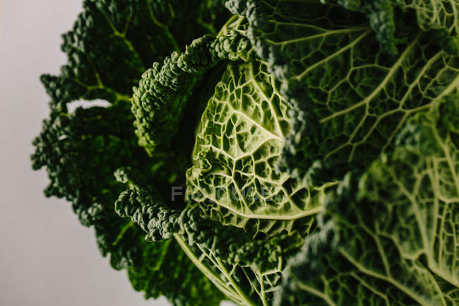 Close-up of ripe green savoy cabbage on grey background — Stock Photo