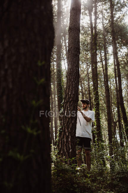 Человек, завязывающий галстук на дереве — стоковое фото