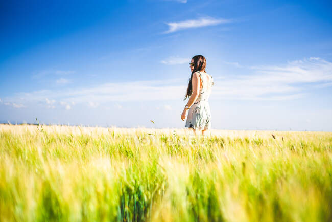 Mädchen steht an einem sonnigen Tag auf dem Feld — Stockfoto