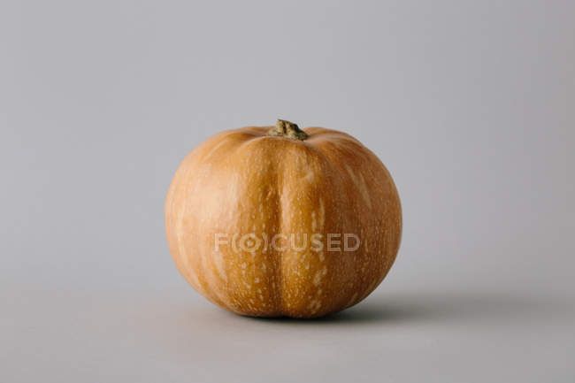Ripe orange pumpkin on grey background — Stock Photo