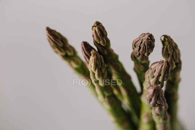 Green stems of fresh asparagus on gray background — Stock Photo
