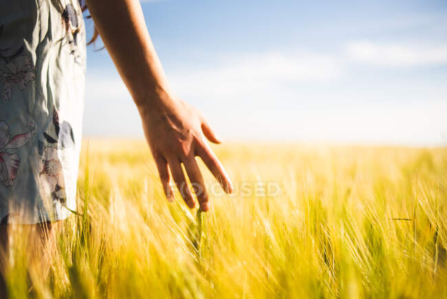 Fille debout dans le champ par une journée ensoleillée — Photo de stock