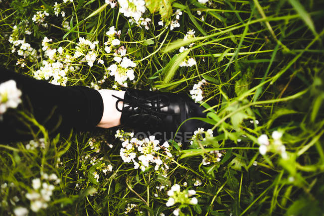 Ноги в стильном черном ботинке на зеленой траве с белыми цветами — стоковое фото