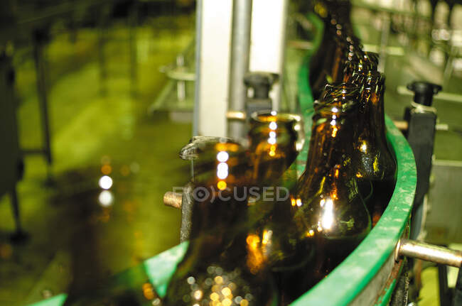 Bottles with beer in factory — Stock Photo
