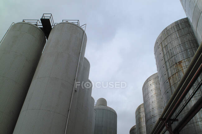 High beer tanks placed outside — Stock Photo