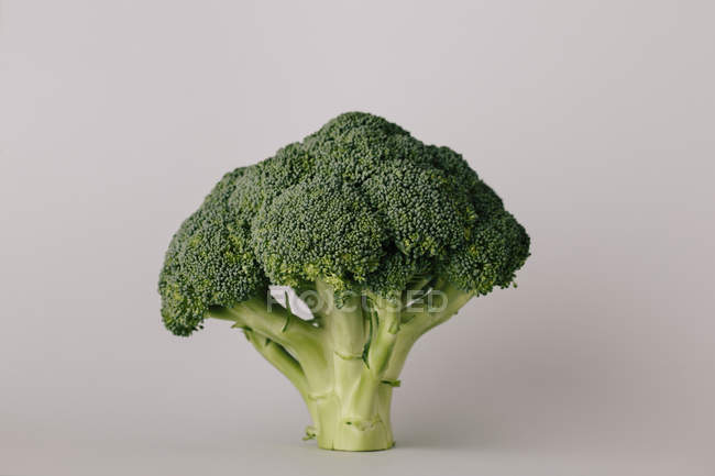 Close-up of textured fresh green broccoli cabbage on grey background — Stock Photo