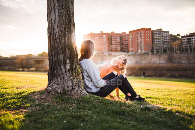 Donna sotto l'albero alla luce del sole — Foto stock