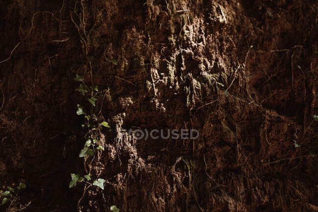 Close up view of stony mountain wall near grass in Cantabria, Spain — Stock Photo