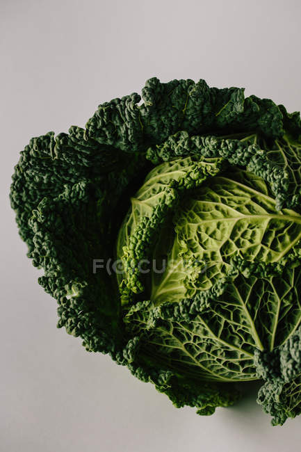 Ripe green savoy cabbage on grey background — Stock Photo