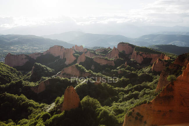 Vale do pinheiro com floresta verde entre escamas vermelhas na Cantábria, Espanha — Fotografia de Stock