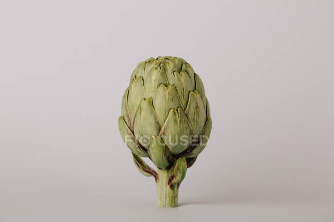 Raw uncooked whole artichoke on grey background — Stock Photo