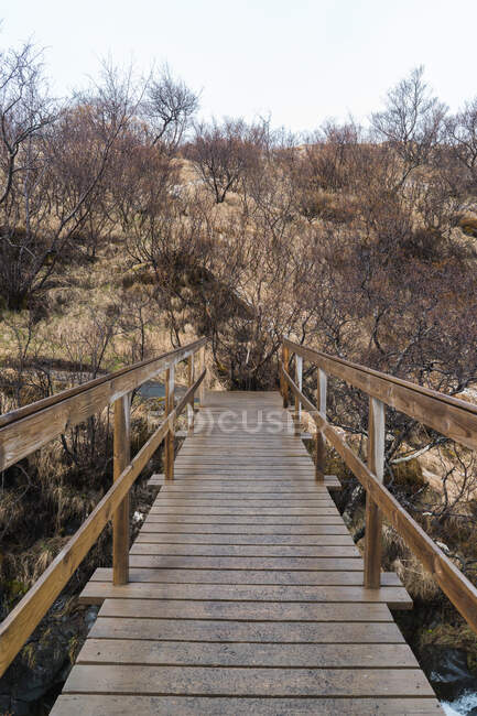 Holzbrücke in schöner ländlicher Landschaft in Skaftafell, Island und Vatnajokull — Stockfoto