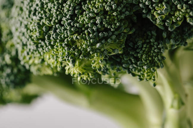 Gros plan sur le chou brocoli vert frais texturé — Photo de stock