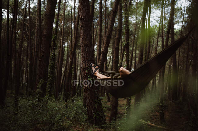 Человек лежит в зеленом гамаке среди деревьев в лесу в Кантабрии, Испания — стоковое фото