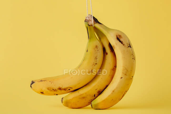 Bunch Of Ripe Bananas On Twine On Vivid Yellow Background Nutrition Freshness Stock Photo