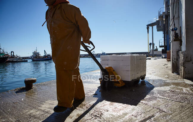 Crop side view of man in uniform pulling cart loaded with white boxes on background of harbor — Stock Photo