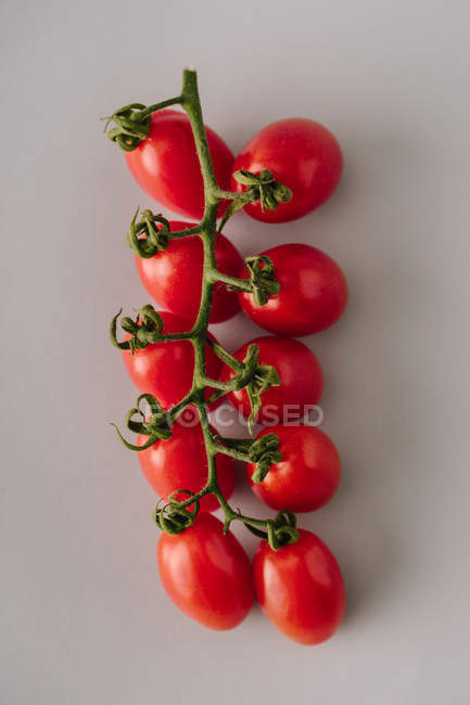 Frische rote Tomaten auf Zweig auf grauem Hintergrund — Stockfoto