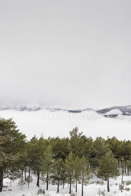 Beaux nuages et brouillard parmi les sommets de montagne paysage — Photo de stock
